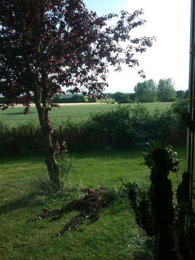 Ostseeurlaub-asmussen Gelting